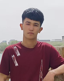 风啸智勇255